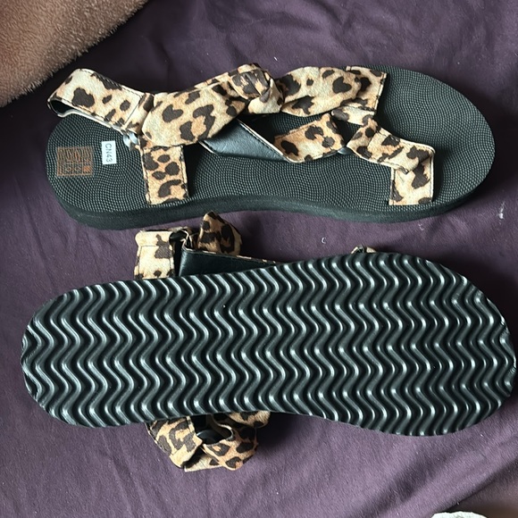 Leopard - Picture 2 of 4